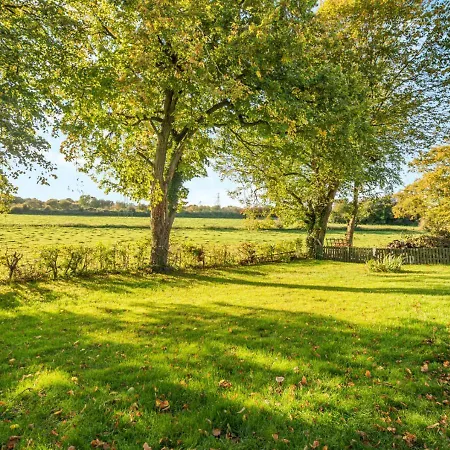 Holme View * Longtown
